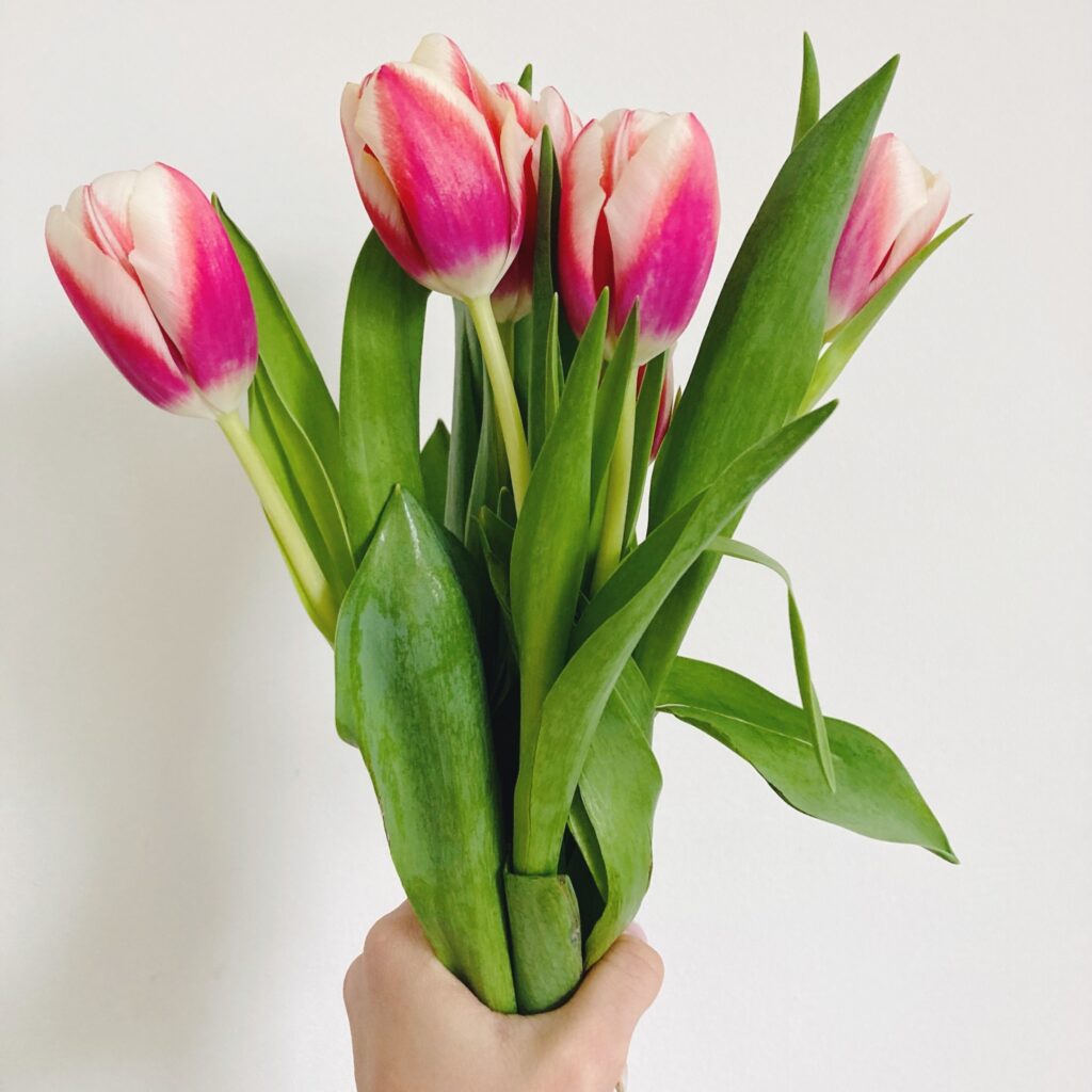 A bunch of flowers