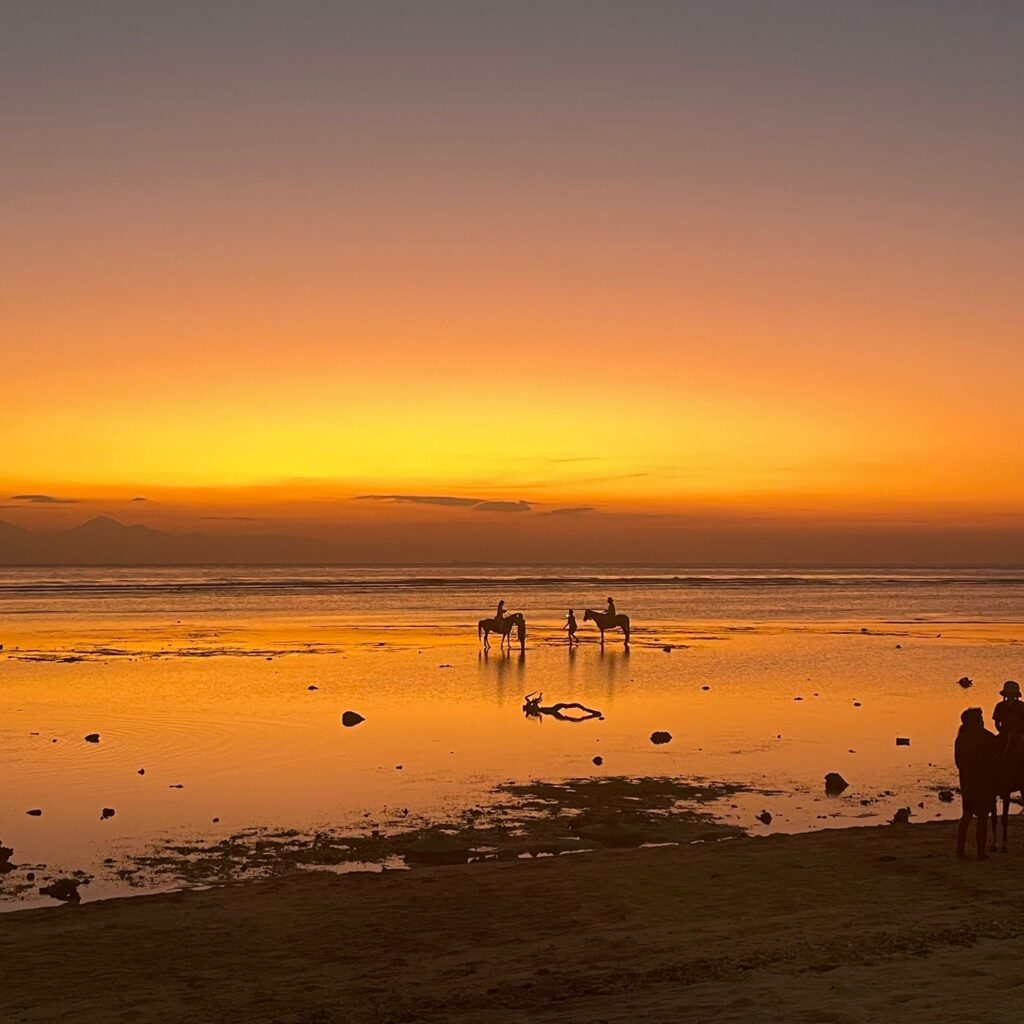 Gili horse sunset orange sky