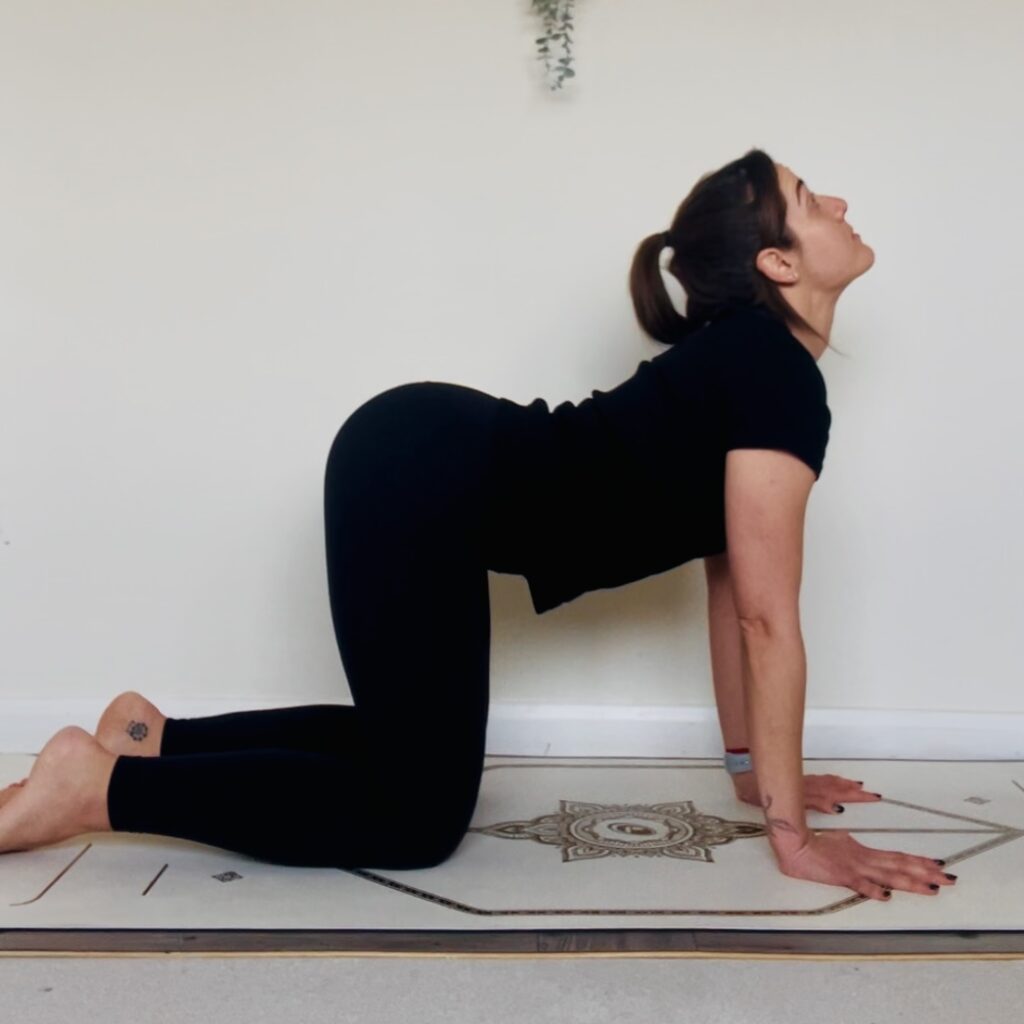 Cow pose